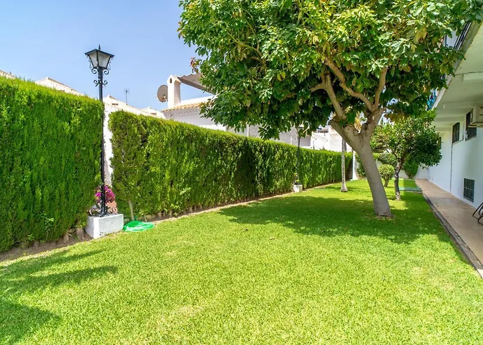 Perdigon 325 Paradise Casasol